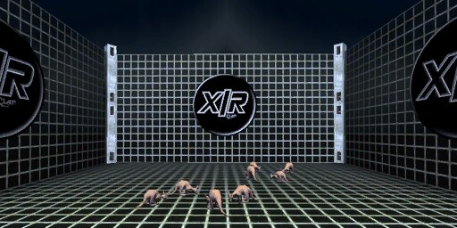 DM-XIR-Cage-2